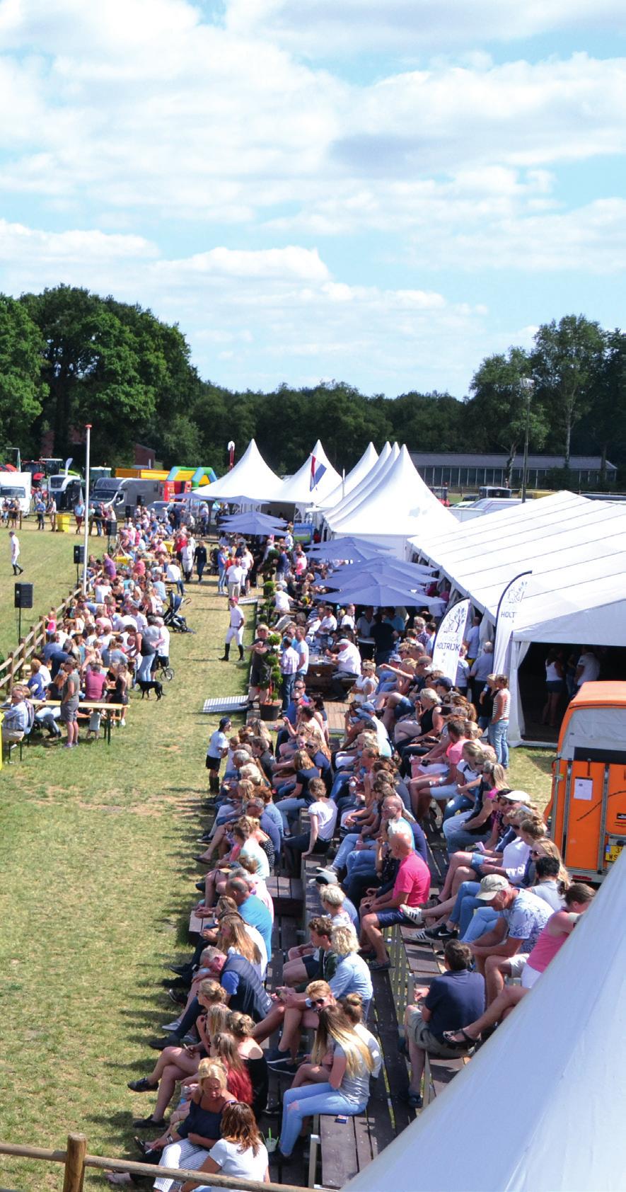 Postadres Stichting Hippisch Holtrijk Hoofdstraat 21A