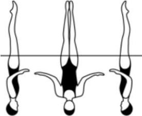 12. DRAAIEN Een draai is een rotatie op een éénmaal ingenomen hoogte; gedurende deze draai blijft het lichaam in dezelfde loodlijn; tenzij anders omschreven en indien uitgevoerd in VERTICALE HOUDING,