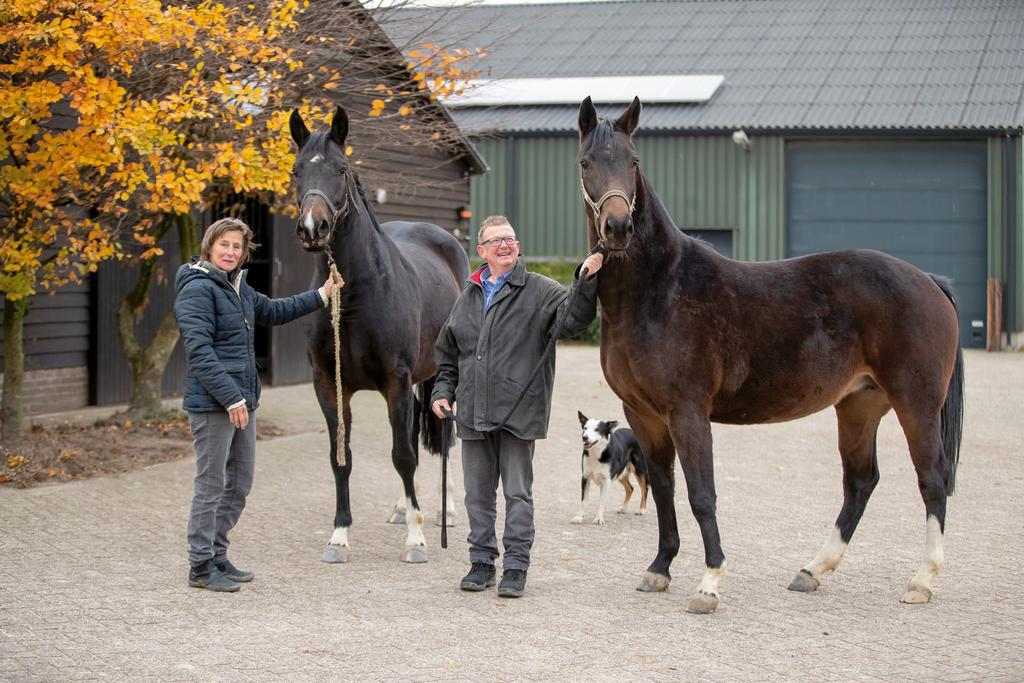 ONTMOETEN betekent wel dat je iets met die paarden moet ondernemen. Je kunt wel heel hard roepen dat je de beste sportpaarden hebt, maar als ze niet presteren houdt dat verhaal ook geen stand.