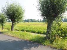 polderlandschap. Alle woningen staan op een ruime kavel en zijn gesitueerd aan het water. Door middel van een (privé) brug komt u bij de woning.