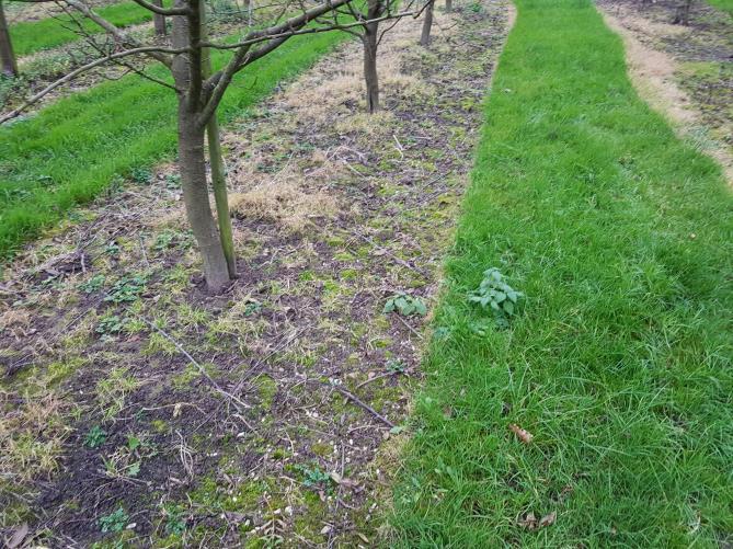 2 PLANGEBIED EN ONTWIKKELINGEN PLANGEBIED De locatie ligt ten noorden van de bebouwde kom van