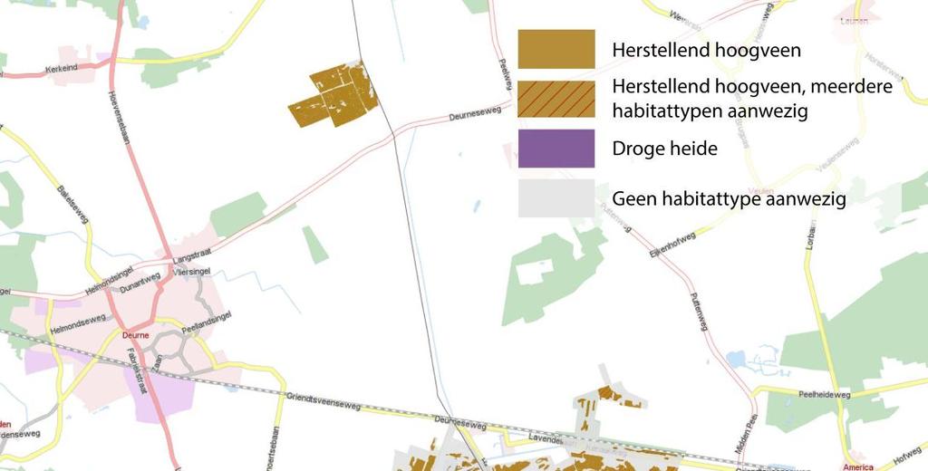 Bijlagen Afbeelding 11: Voorkomen van de aangewezen Habitattypen in de Deurnsche Peel & Mariapeel (GIS Viewer provincie Limburg, 2014/2015).