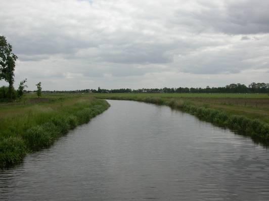 Bedekking houtige oeverplanten 1%, waterplanten: drijvend 1%, emers 2%, submers 2%. Hoogste abundanties: Sterrenkroos, Liesgras en Moerasvergeet-mij-nietje.