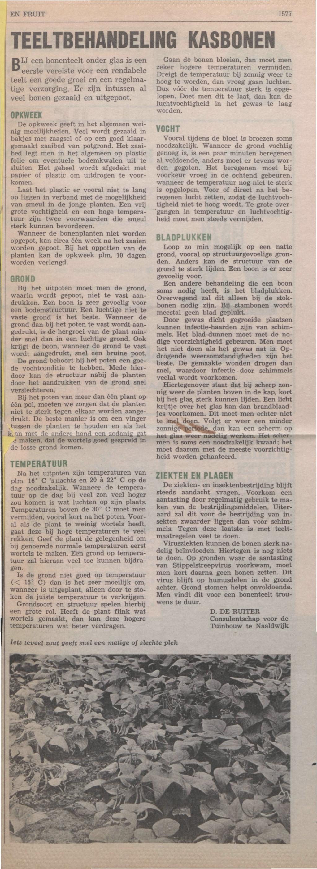 EN FRUIT 1577 TEELTBEHANDEUNG KASBONEN OU een bonenteelt onder glas is een ^ eerste vereiste voor een rendabele teelt een goede groei en een regelmatige verzorging.
