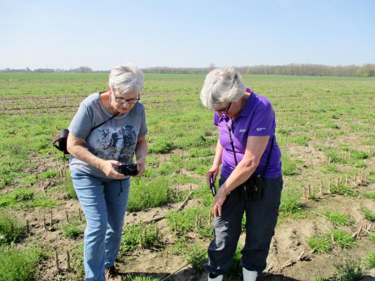 Zoals bekend hebben zich dit voorjaar op de Gorseweide grote veranderingen voorgedaan in de eigendomsverhoudingen.