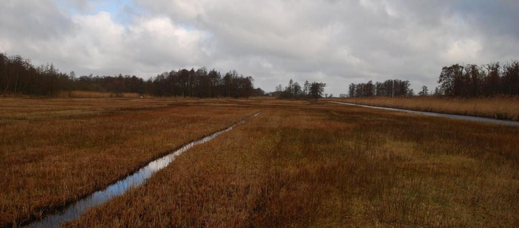 De kwaliteit van trilvenen en veenmosrietlanden in Nederland en het buitenland dr. C. Cusell (Casper) & dr. J. van Diggelen (José) drs. G.