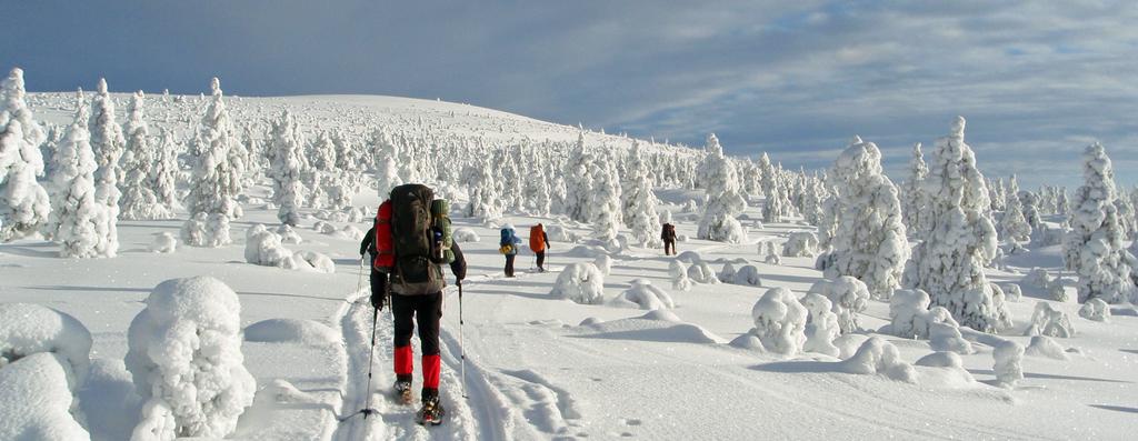 Half februari en begin maart wanneer de dagen al wat langer worden ligt er in Fins Lapland op de 68e breedtegraad meer dan voldoende sneeuw voor een mooie sneeuwschoentocht.