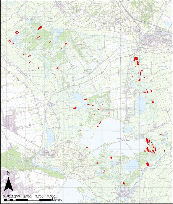 Hoge waterstand goed voor trilveen Rode gebieden