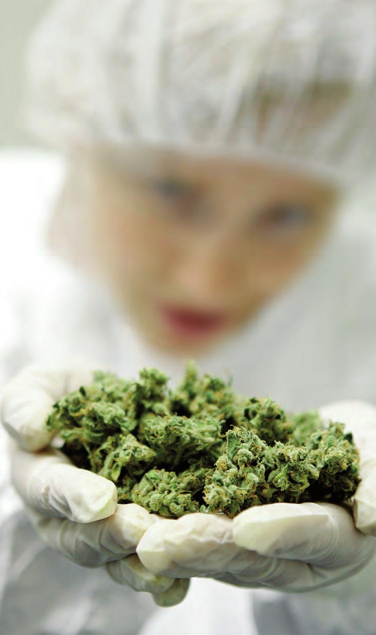 De meeste informatie die beschikbaar is over effecten van cannabis is afkomstig uit studies die gericht zijn op misgebruik van cannabis.