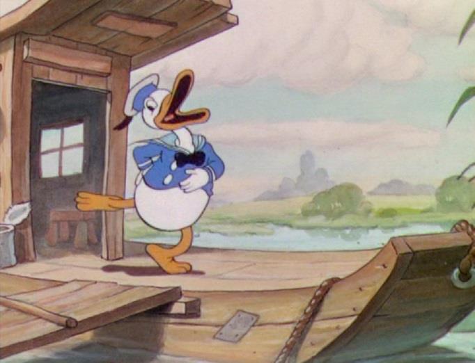 Wie is Donald Duck? Donald Duck (volledige naam Donald Fauntleroy Duck) is de zoon van Woerd Snater Duck en Hortensia Duck.