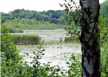 Lonnekermeer Peildatum 01.