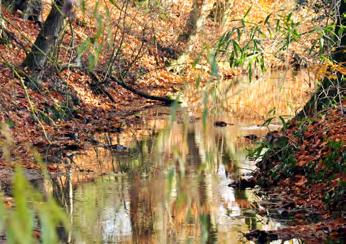 Springendal en Dal van de Mosbeek Peildatum 01.01.2019 Fase: Planuitwerking: LTO Noord Verkenning Planuitwerking Realisatie Beheer LTO Noord Oppervlakte: Natura 2000: Uitwerkingsgebied: 1.