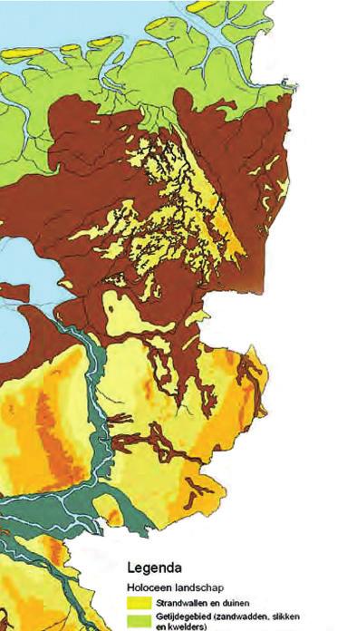 De temperatuur begon te stijgen. Het ijs begon te smelten. Toen het klimaat echt warmer werd, ontstonden bossen en moerassen.