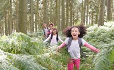 be speelzone 9 plantentuin betalend ravotten in het speelbos materiaaltas 2 - je neemt bus 49 Zelzate-Lokeren - deze bus stopt vlakbij het Kloosterbos Je kan in Het