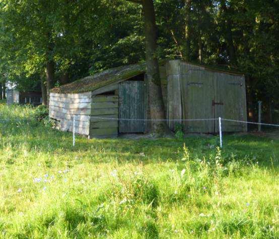 houtopslag en kippenhok van circa 67 m². De voormalige garage binnen het plangebied staat leeg.