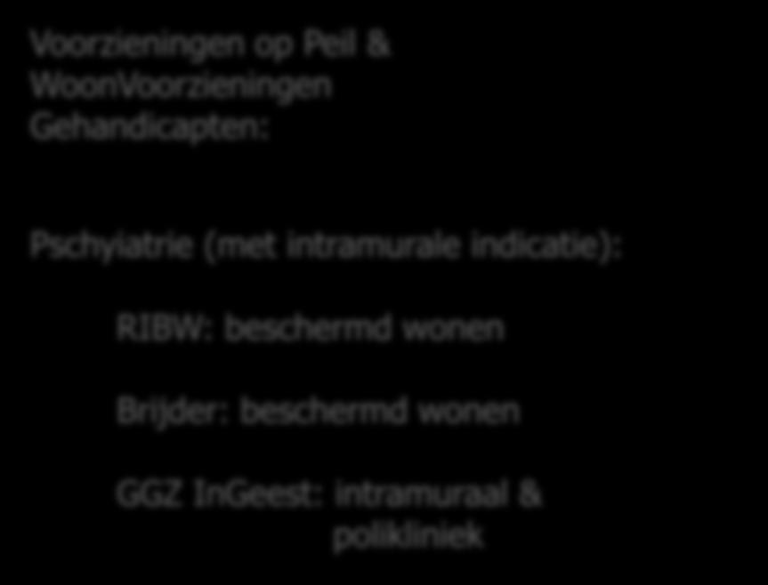 Voorzieningen op Peil & WoonVoorzieningen Gehandicapten: Pschyiatrie (met intramurale indicatie): Nr Naam Straat 1 Beschermde Woonvorm Zandvoort Flemingstraat 2 Zandvoort-Centrum Hogeweg 3