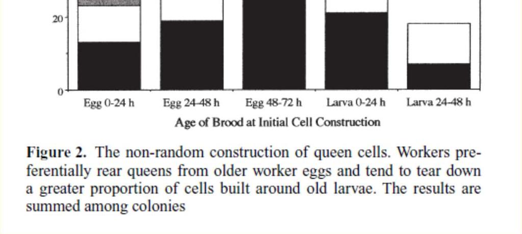 Redcellen 69% van de redcelmoeren zijn opgetrokken op eitjes en het merendeel op de oudere eitjes Alleen verschil in gewicht, niet in aantal ovariolen of spermatheca