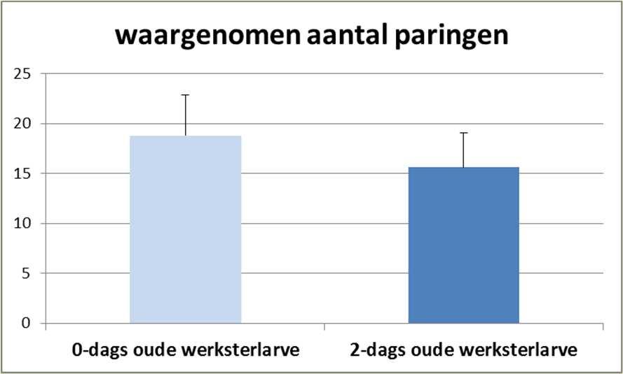 Kwaliteit koningin