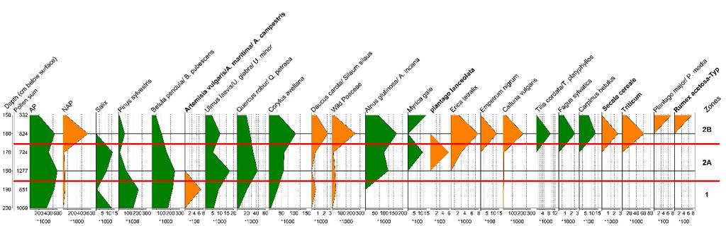 10 Figuur 4. De zonering op basis van de regionaal aanwezige taxa, weergegeven in een vereenvoudigd pollendiagram voor een diepte van 200-150 cm.