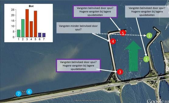 De onderliggende motivatie en gedrag van de vissen ten tijde van de vangst is niet bekend, toch zijn er met de kennis over de biologie, de timing van de vangst en het levensstadium aanwijzingen over