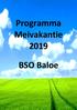 Programma Meivakantie BSO Baloe