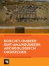 BORCHTLOMBEEK SINT-AMANDUSKERK ARCHEOLOGISCH