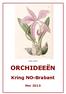 Laelia majalis ORCHIDEEËN. Kring NO-Brabant