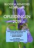 BLOESEM REMEDIES NEDERLAND OPLEIDINGEN 2019