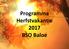 Programma Herfstvakantie 2017 BSO Baloe