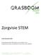 Zorgvisie STEM. Versie 28 januari 2019