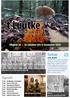 't Luutke. Agenda. Dorpsblad van De Lutte. Uitgave oktober t/m 5 november 2019 KRONIEK DE LUTTE: DOAR KOMP DE PRUUS AN JUBILARISSEN BIJ LUTHERIA