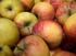 Biologische appels en peren