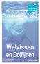 Walvissen en Dolfijnen. Activiteitenboekje. educatieve dienst 14.10.09 > 29.08.10