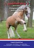 Hengsten/stallion brochure 2014