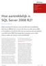Hoe aantrekkelijk is SQL Server 2008 R2?