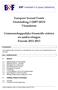 Europees Sociaal Fonds Doelstelling 2 (2007-2013) Vlaanderen. Gemeenschappelijke financiële criteria en aanbevelingen Periode 2011-2013