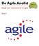 De Agile Analist. Ebook over requirements en agile. Deel II
