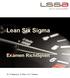 Lean Six Sigma. Examen Richtlijnen. Dr. R. Messnarz / D. Ekert / H.C. Theisens