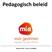 Pedagogisch beleid (februari 2014 - versie 1.0 HV/MB)