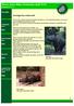 Nieuws Asian Rhino Foundation April 2010