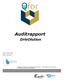 Auditrapport DrivOlution