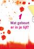 Wat gebeurt er in je lijf?