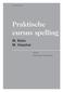 Praktische cursus spelling M. Klein M. Visscher