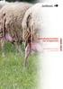 Gezondheidsvoordelen van schapenmelk. Ing. Ramira ter Mors Ir. Jan de Wit