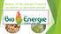 Welkom bij Bio Energie Friesland Uw partner in duurzame energie