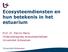 Ecosysteemdiensten en hun betekenis in het estuarium. Prof. Dr. Patrick Meire Onderzoeksgroep ecosysteembeheer Universiteit Antwerpen