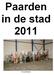 Paarden in de stad 2011