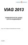 VIAG 2013. Veiligheidsinstructie aardgas voor de energiebedrijven. Uitgave van de Vereniging van Energienetbeheerders in Nederland