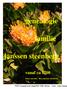 genealogie familie janssen steenberg vanaf ca 1700 frans van min - theo janssen steenberg PDF Created with deskpdf PDF Writer - Trial :: http://www