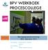 BPV WERKBOEK PROCESCOLLEGE